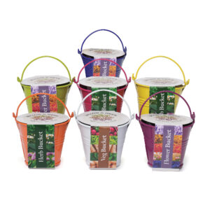 Coloured Mini Bucket Grow Kit
